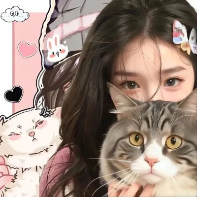 科搜研之女第24季